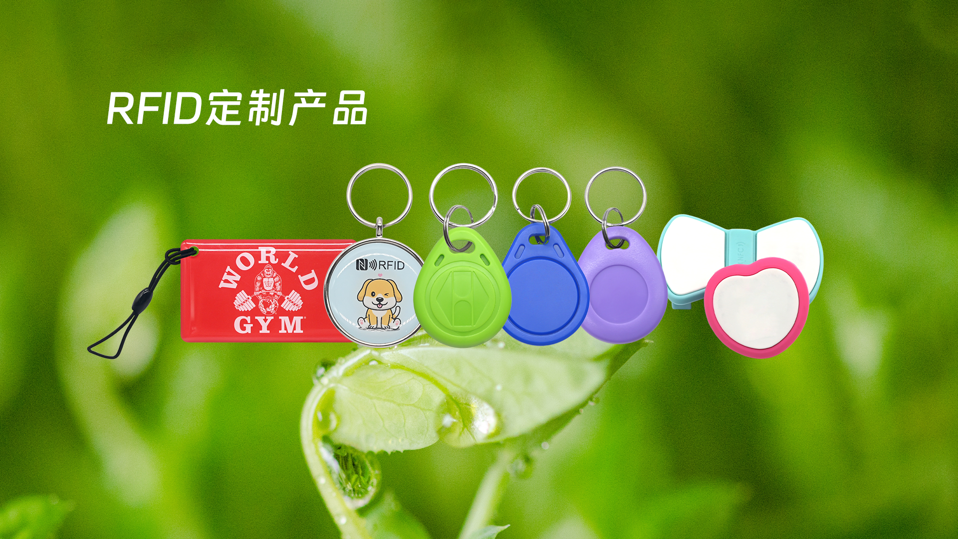 微信圖片_20250319113407 微信圖片_20250319113407