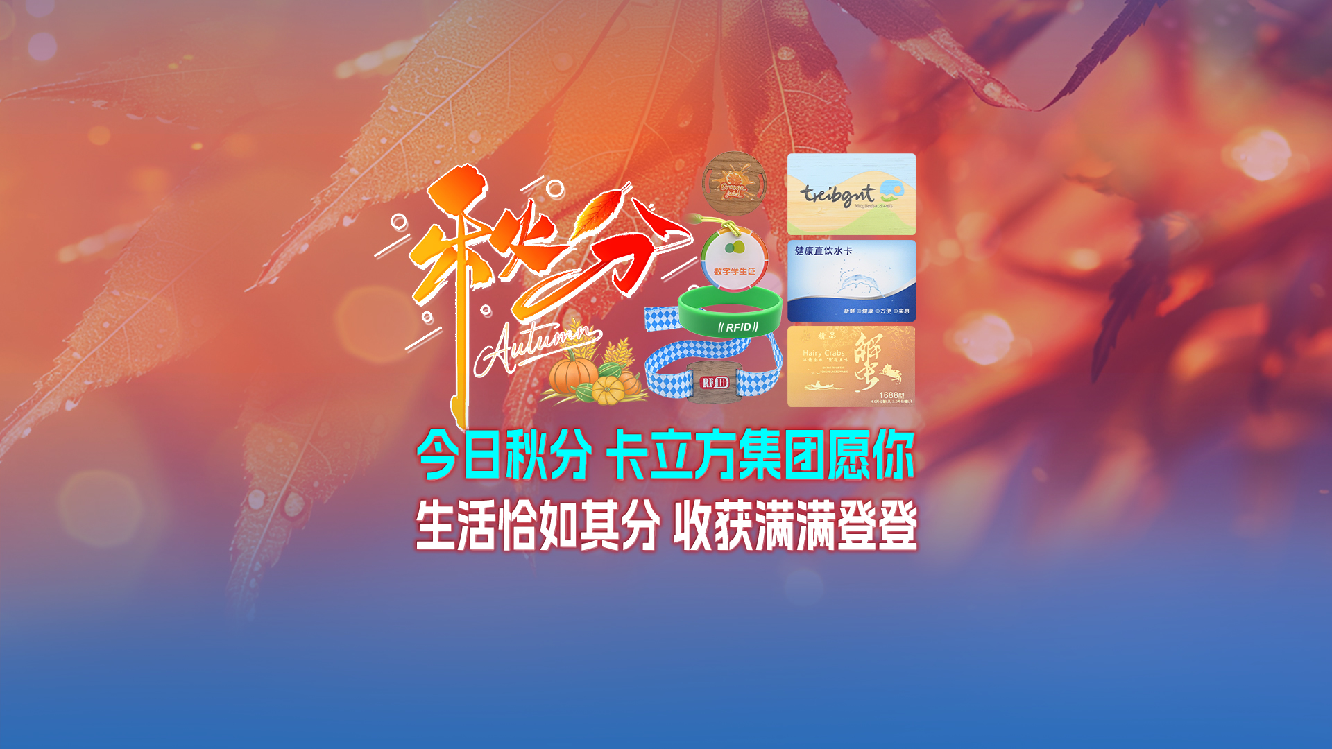 秋分至,卡立方集團智能卡工廠以RFID多元化物聯網產品科技賦能萬物互聯